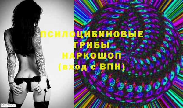 2c-b Беломорск