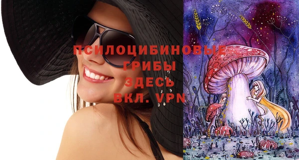 стафф Белокуриха