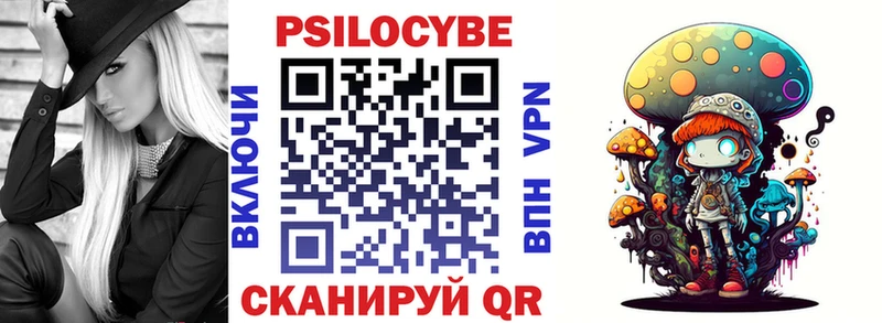 как найти закладки  Малоярославец  hydra как войти  Псилоцибиновые грибы прущие грибы 